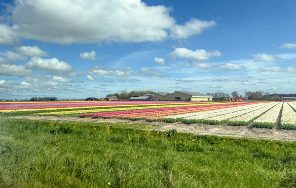 Ferienhaus - Westerland , Holland - HNH366 906