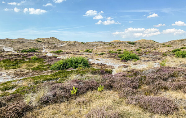 Ferienhaus - Heiloo , Holland - HNH433 901