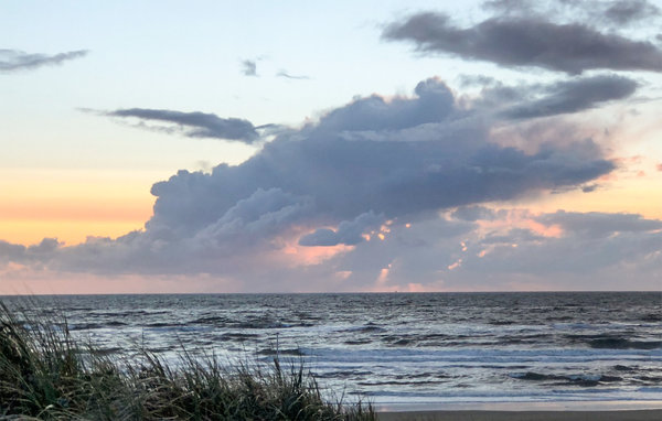 Vakantiehuis - Bergen aan Zee , Nederland - HNH530 901