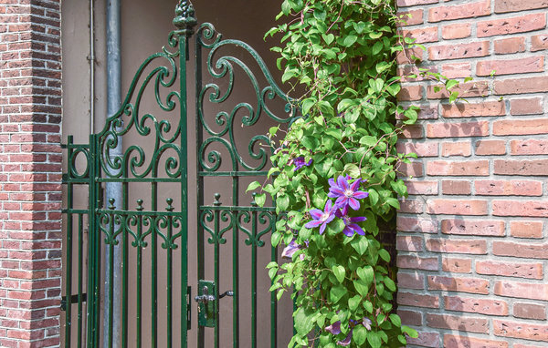 Ferienhaus - Hoorn , Holland - HNH561 84