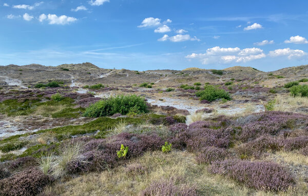 Feriehus - Bergen aan Zee , Nederland - HNH575 902
