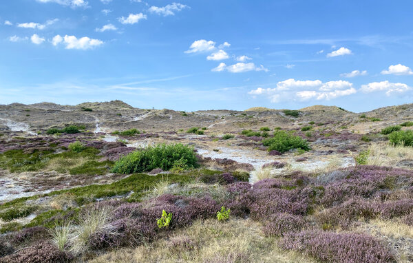 Ferienhaus - Egmond aan Zee , Holland - HNH622 905