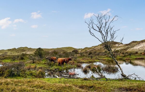 Ferieleilighet - Bergen aan Zee , Nederland - HNH814 901