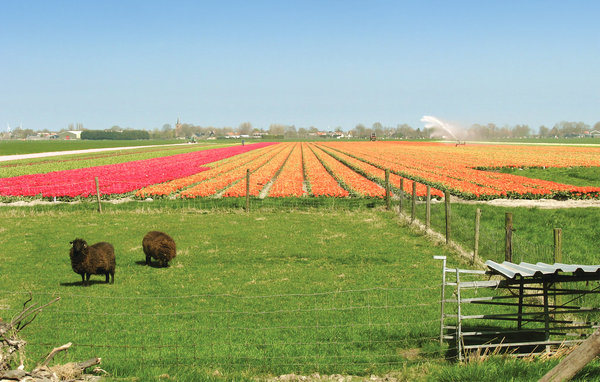 Vakantiehuis - Wervershoof , Nederland - HNH900 913