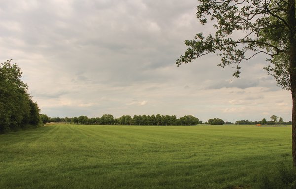 Ferienhaus - Gramsbergen , Holland - HOV028 914