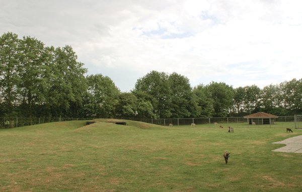 Ferienhaus - Gramsbergen , Holland - HOV029 912