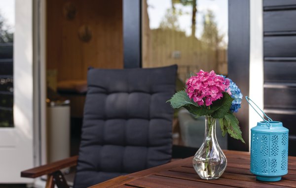 Vakantiehuis - Bruchterveld , Nederland - HOV045 902