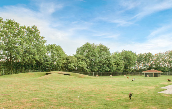 Ferienhaus - Gramsbergen , Holland - HOV060 910