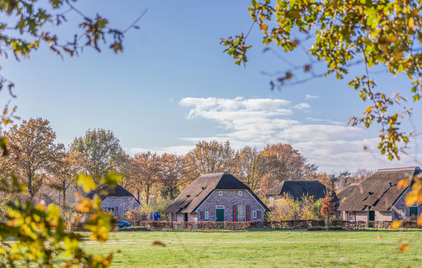 Domy wakacyjne - Den Ham , Holandia - HOV072 83