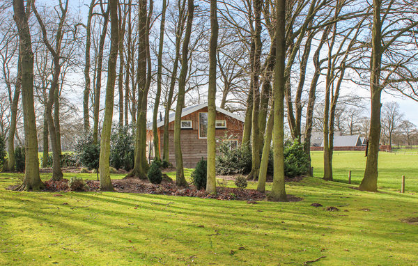 Vakantiehuis - Bornerbroek , Nederland - HOV080 101