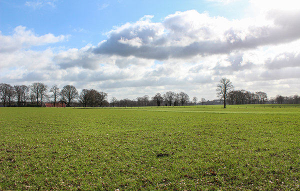 Vakantiehuis - Bornerbroek , Nederland - HOV080 201