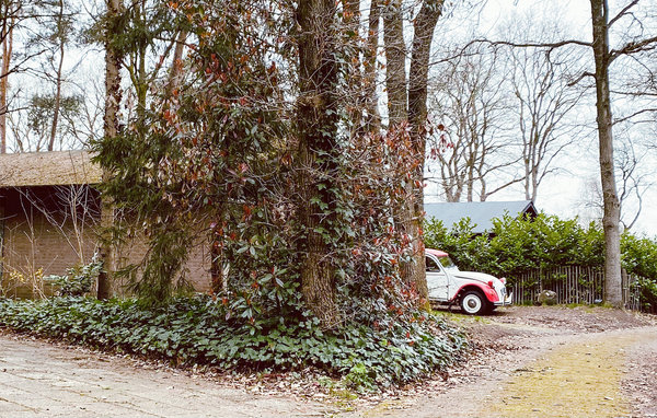 Ferienhaus - Rheezerveen , Holland - HOV182 82