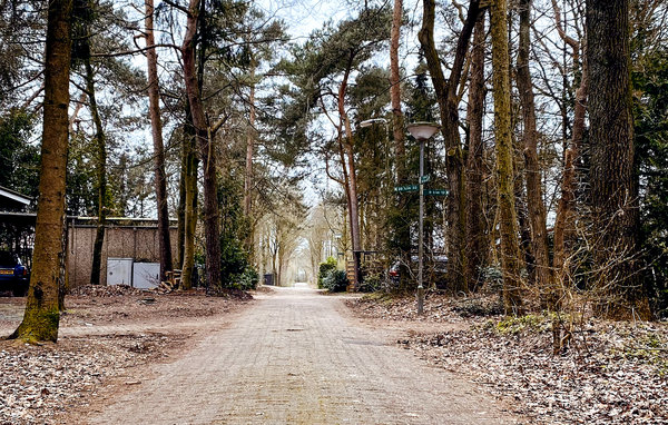 Ferienhaus - Rheezerveen , Holland - HOV182 101