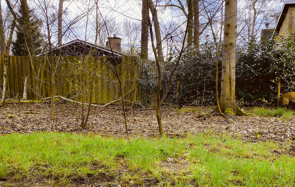 Ferienhaus - Rheezerveen , Holland - HOV182 102