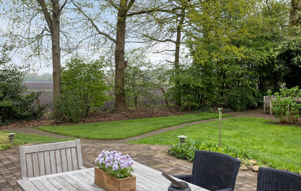 Vakantiehuis - Paasloo , Nederland - HOV186 103