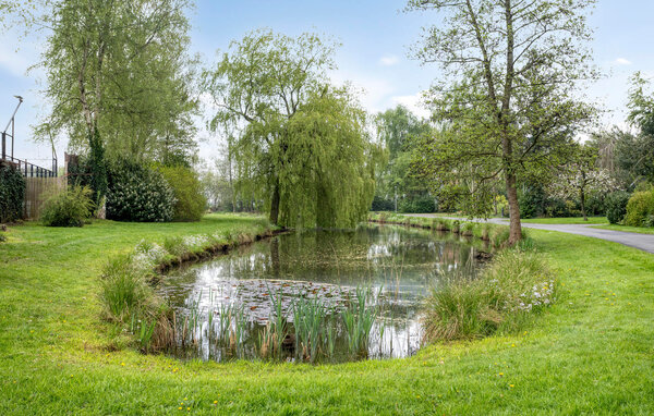 Vakantiehuis - Paasloo , Nederland - HOV186 104