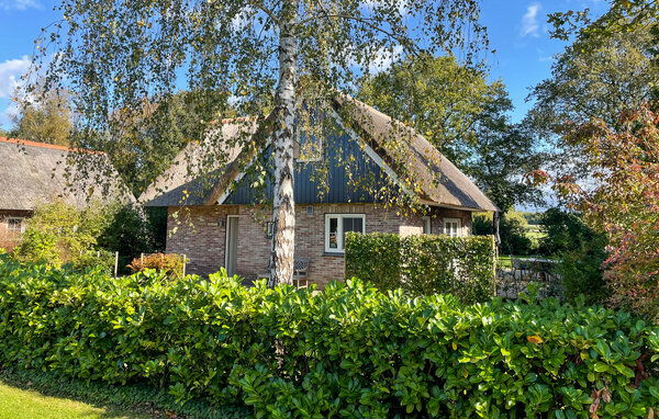 Ferienhaus - Paasloo , Holland - HOV187 104