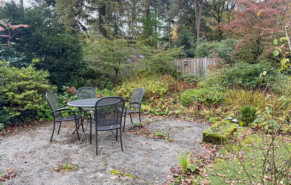 Vakantiehuis - Holten , Nederland - HOV228 101