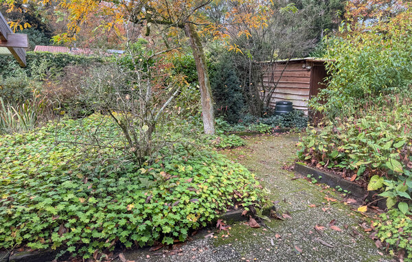 Vakantiehuis - Holten , Nederland - HOV228 102