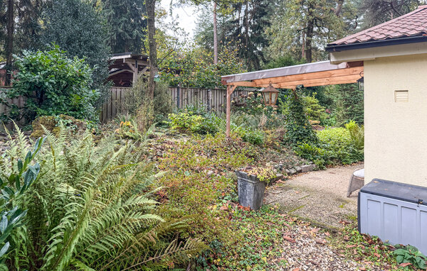 Vakantiehuis - Holten , Nederland - HOV228 104