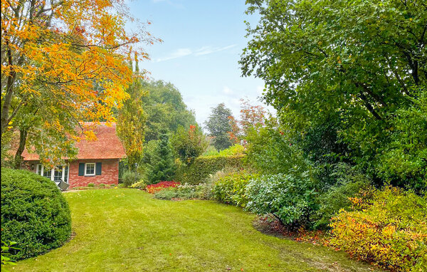 Ferienhaus - Paasloo , Holland - HOV229 101