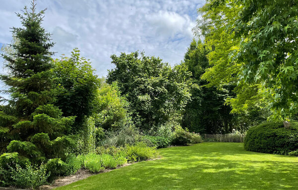 Ferienhaus - Paasloo , Holland - HOV229 102