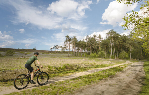 Ferienhaus - Lemele , Holland - HOV279 902