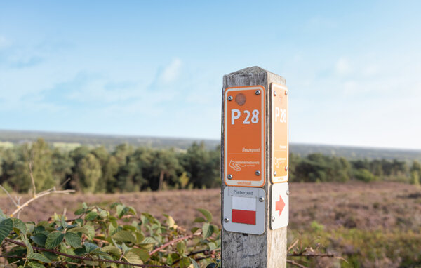 Ferienhaus - Lemele , Holland - HOV279 903