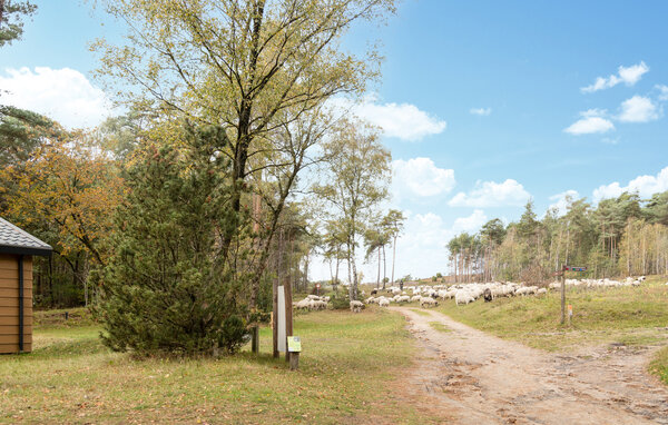 Ferienhaus - Lemele , Holland - HOV279 905