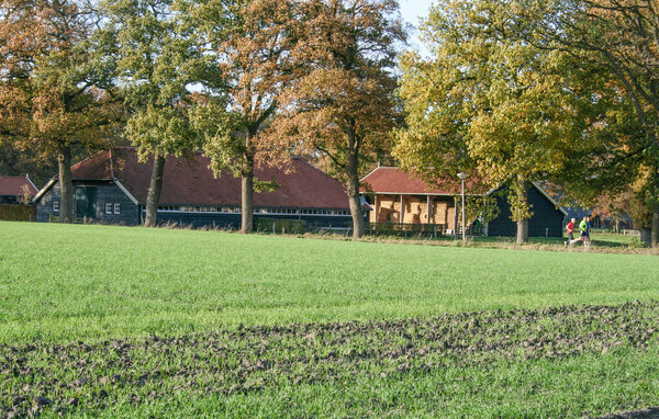 Ferienhaus - Lemele , Holland - HOV279 907
