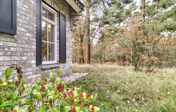 Ferienhaus - Lemele , Holland - HOV279 102