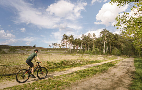 Ferienhaus - Lemele , Holland - HOV280 902