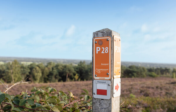Ferienhaus - Lemele , Holland - HOV280 903
