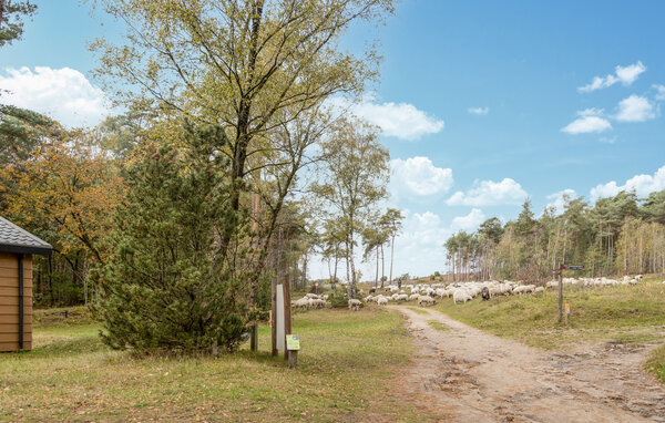 Ferienhaus - Lemele , Holland - HOV280 904