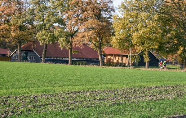 Ferienhaus - Lemele , Holland - HOV280 906