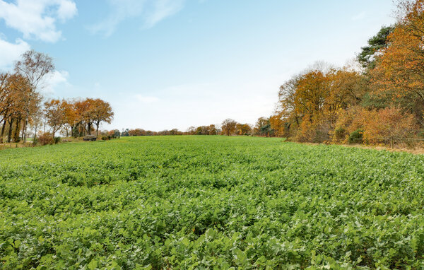 Ferienhaus - Lemele , Holland - HOV280 201