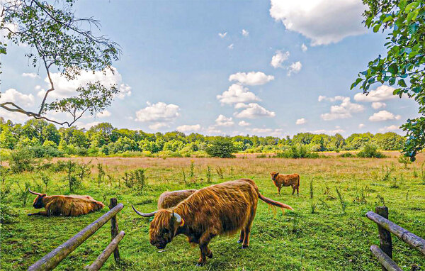 Feriehuse - Mariënberg , Holland - HOV393 902
