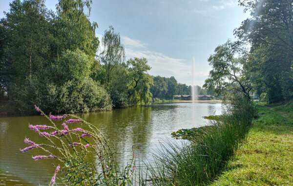 Feriehuse - Mariënberg , Holland - HOV393 904
