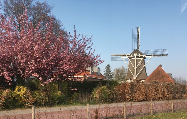 Ferienhaus Gentiaan