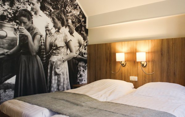 Ferienhaus - Ommen , Holland - HOV411 601