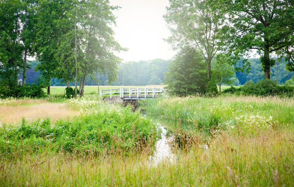 Holiday Home - Ijhorst , Holland - HOV420 905