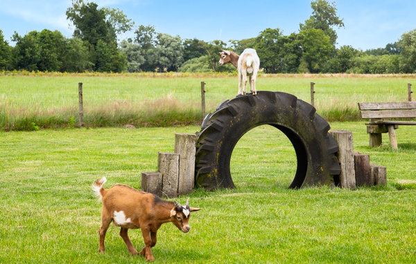 Feriehuse - Ijhorst , Holland - HOV426 909