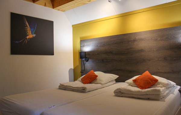 Vakantiehuis - Steenwijk - De Bult , Nederland - HOV454 601