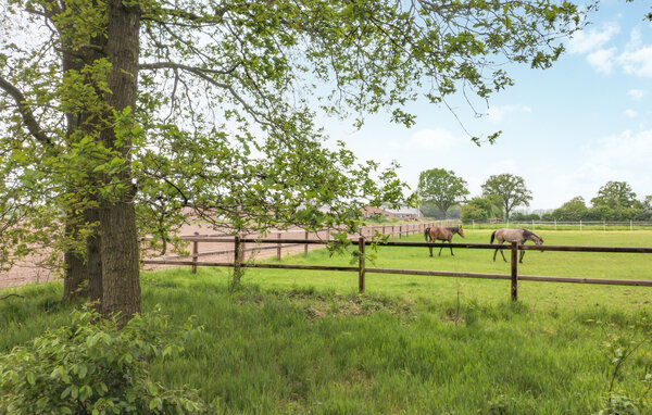 Ferienhaus - Hellendoorn , Holland - HOV660 903