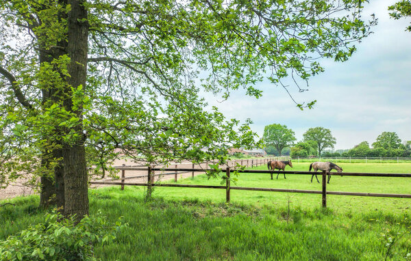 Ferienhaus - Hellendoorn , Holland - HOV661 903
