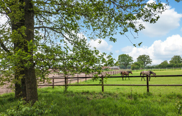 Ferienhaus - Hellendoorn , Holland - HOV667 901