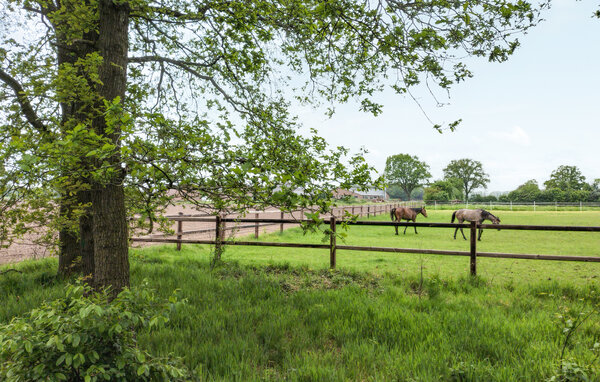 Ferienhaus - Hellendoorn , Holland - HOV683 904