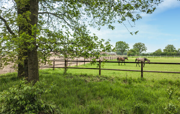 Ferienhaus - Hellendoorn , Holland - HOV688 906