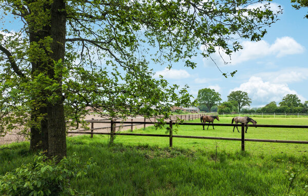 Ferienhaus - Hellendoorn , Holland - HOV691 905