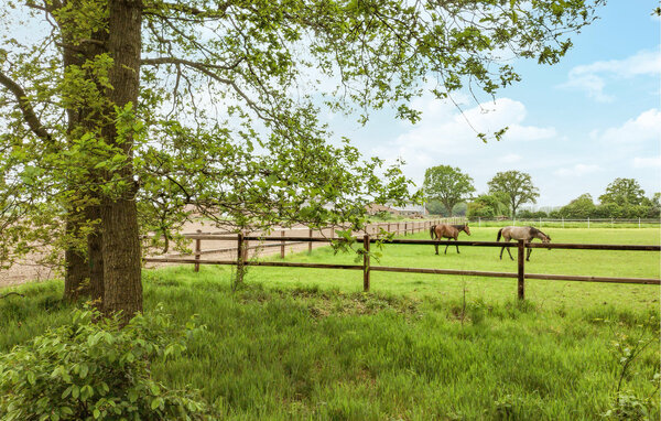 Feriehus - Hellendoorn , Nederland - HOV693 903